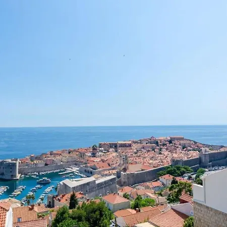 Shiba Dubrovnik